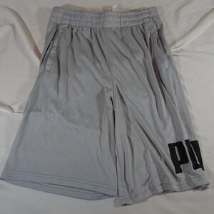 Puma Boy Youth Grey Shorts Size L (14-16)
